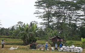 Pondok Gepokan Homestay