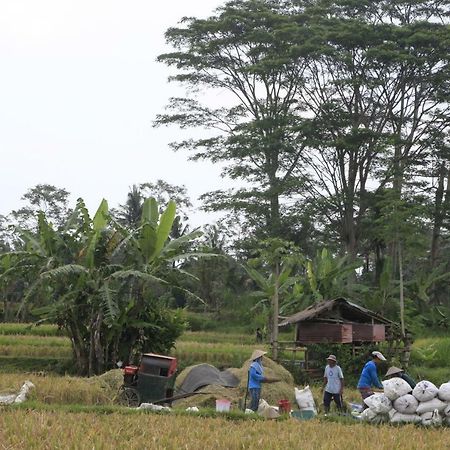 Pondok Gepokan Homestay Ubud Buitenkant foto