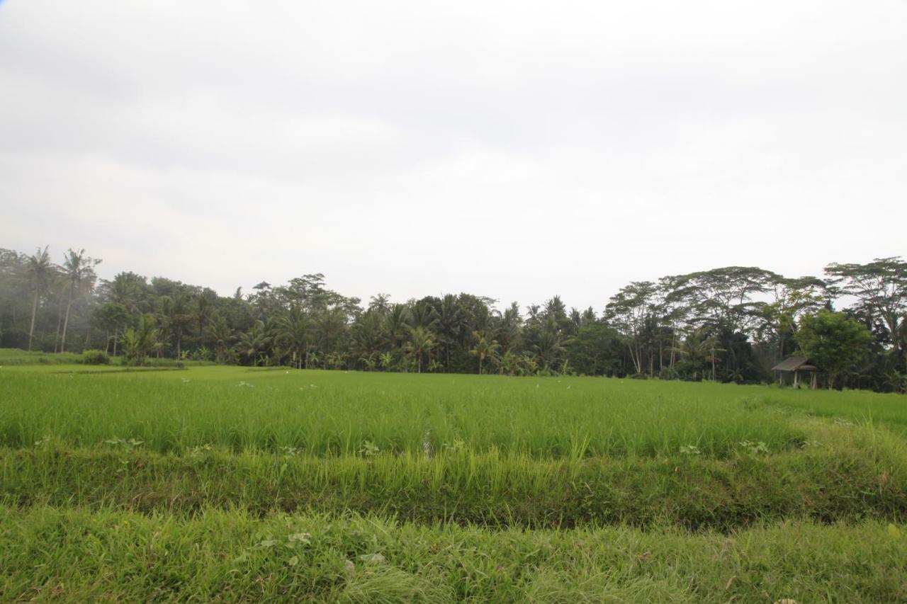 Pondok Gepokan Homestay Ubud Buitenkant foto