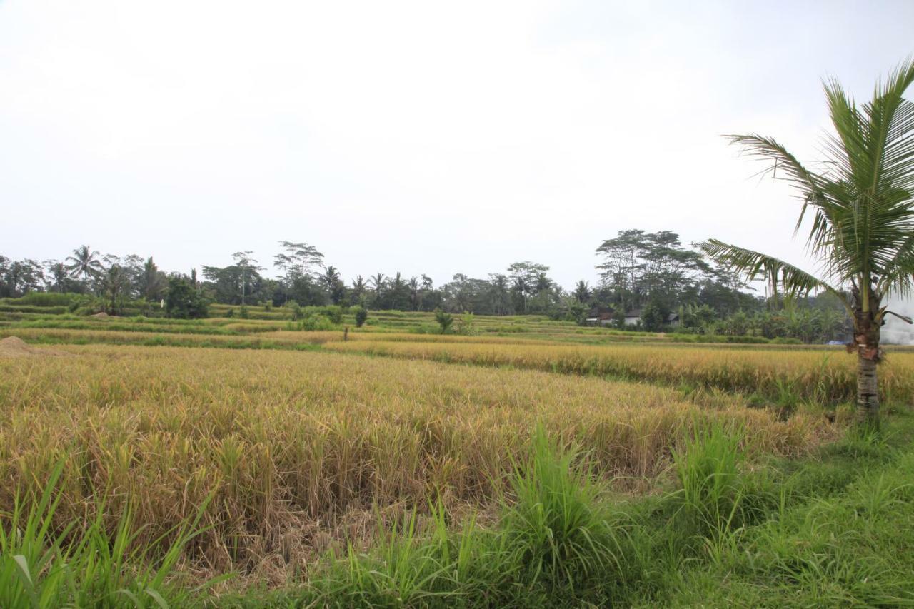 Pondok Gepokan Homestay Ubud Buitenkant foto