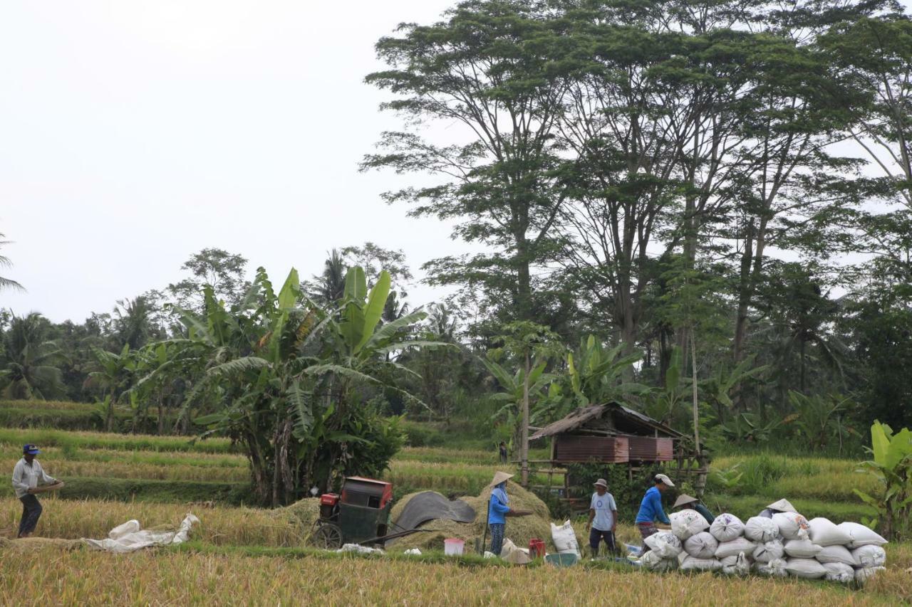Pondok Gepokan Homestay Ubud Buitenkant foto