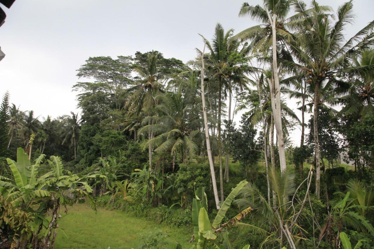 Pondok Gepokan Homestay Ubud Buitenkant foto