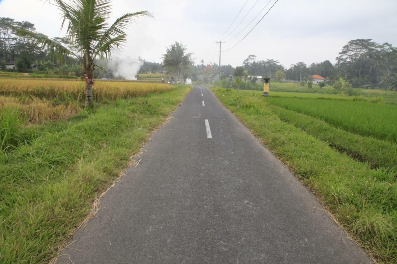 Pondok Gepokan Homestay Ubud Buitenkant foto